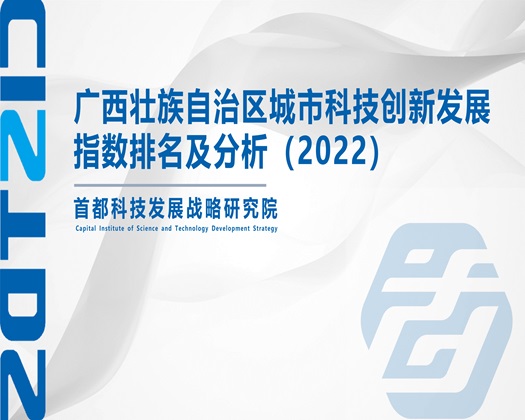 鸡巴干美女网站【成果发布】广西壮族自治区城市科技创新发展指数排名及分析（2022）